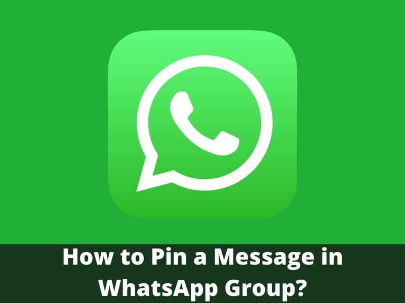 How to Pin a Message in WhatsApp Group