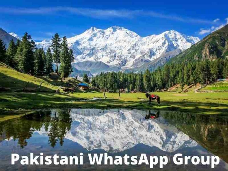 Pakistani WhatsApp Group Links
