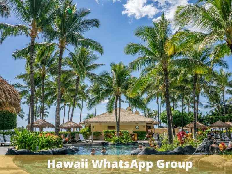 Hawaii WhatsApp Group Links