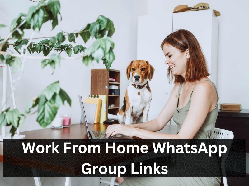 Work From Home WhatsApp Group Links